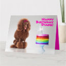 Buscar capa tarjetas Arco iris