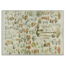 Buscar setas tablas cortar Champiñones