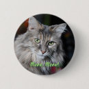 Buscar retratos animales pins Adorable