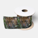 Buscar jaguar cintas Gato