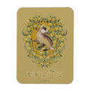 Buscar slytherin imanes Castillo de hogwarts