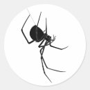 Buscar araña pegatinas Arácnido