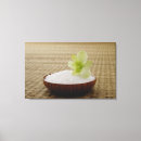 Buscar alfombra lienzos Interior