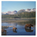 Buscar depredador azulejos Alaska