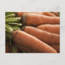 Buscar zanahorias fotografía Foie