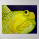 Buscar gobio pescados Océano