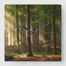 Buscar autumn relojes de pared Woodland