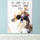 Buscar shih tzu lienzos Perro