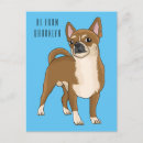 Buscar chihuahuas postales General y unisex