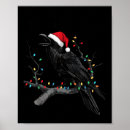Buscar cuervos posters Lindo