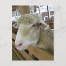 Buscar ganadero postales Animales