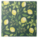 Buscar decoración de la cocina azulejos Parejas