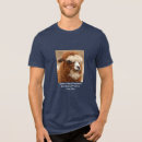 Buscar alpaca camisetas Lana