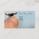 Buscar mariquitas tarjetas de visita Insecto