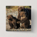 Buscar comportamiento animal pins Familia