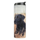 Buscar grasa linda tazas Perro