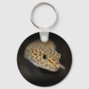 Buscar gecko del leopardo llaveros Geckos
