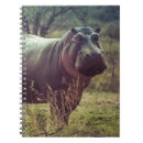 Buscar hipopótamo cuadernos Para todos