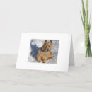 Buscar perros de la nieve tarjetas Vacaciones