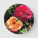 Buscar pink roses relojes de pared Garden