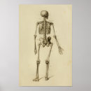 Buscar columna vertebral arte Ilustracion