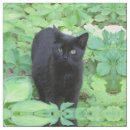 Buscar ojos de gato telas Negro