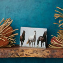 Buscar caballos salvajes placas fotograbadas Vida silvestre