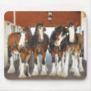 Buscar proyecto alfombrillas de raton Clydesdale