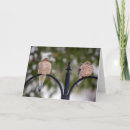 Buscar palomas blancas tarjetas General y unisex