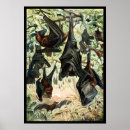 Buscar colgante posters Negro