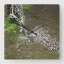 Buscar algas relojes de pared Agua