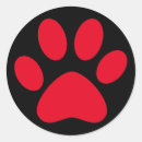 Buscar perro simple Gato