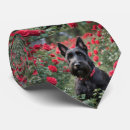 Buscar peludo corbatas Perro