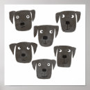 Buscar veterinarios posters Perro