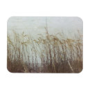 Buscar través imanes Paisajes