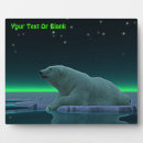 Buscar oso polar placas fotograbadas Ártico