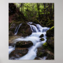 Buscar cascada del bosque posters Río