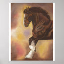 Buscar borrador posters Caballo