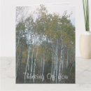 Buscar birch bark tarjetas Para todos