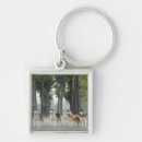 Buscar husky llaveros Perro de nieve