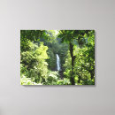 Buscar selva tropical lienzos Verde