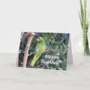 Buscar loros tarjetas Fotografía