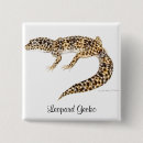 Buscar iguana chapas Naturaleza