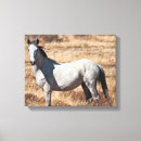 Buscar mustang lienzos Caballos