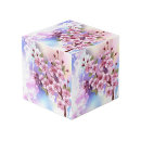 Buscar cubo fotos Rosa