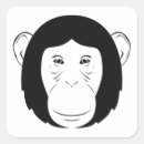 Buscar chimpancé pegatinas Primates