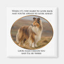 Buscar colmena imanes Collie