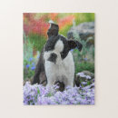 Buscar perro de bull terrier puzzles Lindo