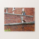 Buscar arcos puzzles General y unisex
