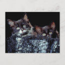 Buscar animales domésticos postales Adorable